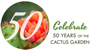 Celebrate 50 years of the Cactus Garden