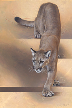 Puma art