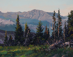 Trail Ridge View by Carol Swinney