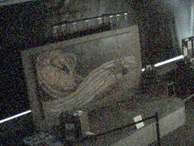 Archived Webcam image from 02-08-2007 08:02:56