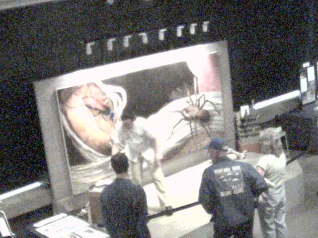 Archived Webcam image from 02-11-2007 14:02:43