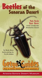 Cover: Beetles of the Sonoran Desert