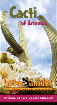 Cover: Cacti of Arizona