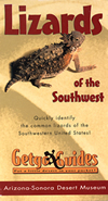 Lizards of the Southwest