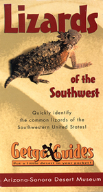 Cover: Lizards of the Southwest