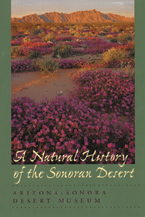 Cover: A Natural History of the Sonoran Desert, 1st Edition (Hardback)