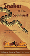 Snakes of the Southwest