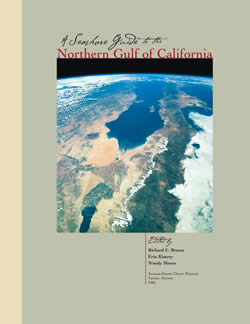 Seashore Guide