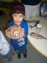 Sonoran Sea Aquarium