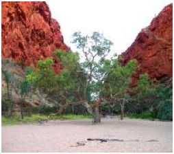 Kings Caynon, Australia