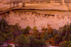 &copy; Piet Van de Mark 2008. Cliff Palace, Mesa Verde