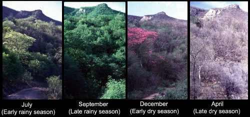 TDF four seasons comparison