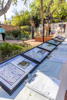 Thumbnail of LR5_4660.jpg