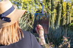 Thumbnail of LR5_4670.jpg