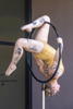 Thumbnail of LR5_4676.jpg