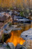 Thumbnail of HHP_LiquidGold_DSC_7916.jpg