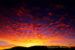 Thumbnail of HHP_Premonition_DSC_0246.jpg