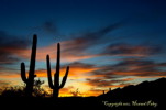 Thumbnail of HHP_SkyscrapersWest_DSC_3477.jpg