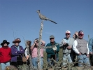 Thumbnail of buzzCROWDcholla52.jpg