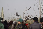 Thumbnail of IMG_0316.jpg
