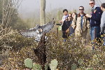 Thumbnail of IMG_0334.jpg