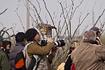 Thumbnail of IMG_0345.jpg