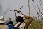 Thumbnail of IMG_0419.jpg