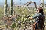 Thumbnail of IMG_3539.jpg