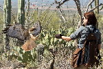 Thumbnail of IMG_3540.jpg