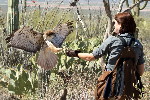 Thumbnail of IMG_3541.jpg