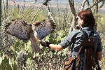 Thumbnail of IMG_3542.jpg