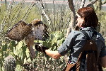 Thumbnail of IMG_3543.jpg