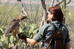 Thumbnail of IMG_3544.jpg
