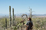 Thumbnail of IMG_3547.jpg