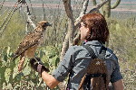 Thumbnail of IMG_3549.jpg