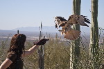 Thumbnail of IMG_5006.jpg