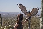 Thumbnail of IMG_5007.jpg