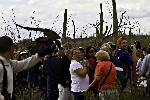 Thumbnail of IMG_5047.jpg