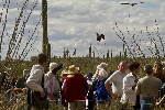 Thumbnail of IMG_5063.jpg