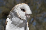 Thumbnail of IMG_5068.jpg
