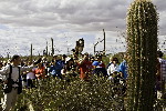 Thumbnail of IMG_5082.jpg
