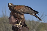 Thumbnail of IMG_5365.jpg