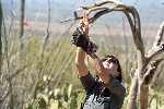 Thumbnail of IMG_536c.jpg