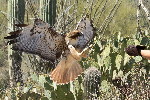Thumbnail of IMG_540a.jpg