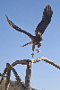 Thumbnail of IMG_5413.jpg