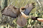 Thumbnail of IMG_541a.jpg