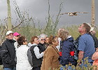Thumbnail of IMG_5832.jpg