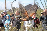 Thumbnail of IMG_5881.jpg