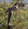 Thumbnail of IMG_6415.jpg