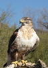 Thumbnail of IMG_dbit.jpg